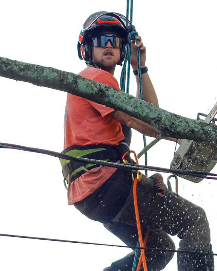 Jonny Brook, owner of Brook Tree Service LLC, up in a tree running rigging on a removal job