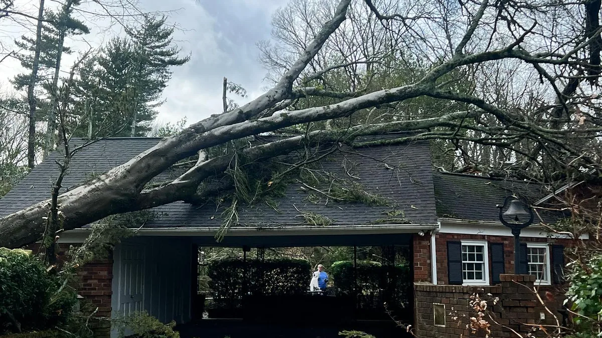 Large storm-damaged tree fallen across a brick home in North-Central Alabama