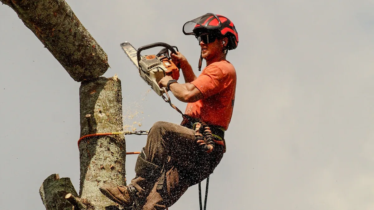 Brook Tree Service climber sectioning down a tall trunk during a tree removal in Cullman, AL