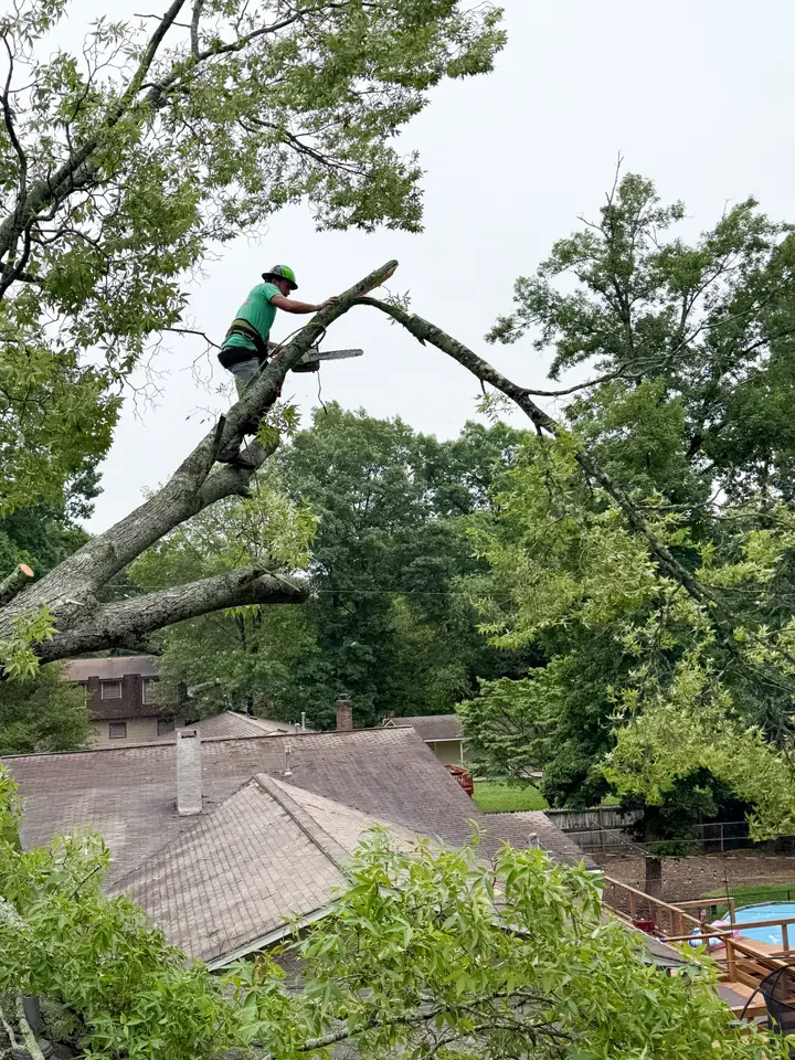 Climber cutting storm-damaged tree limbs above a residential rooftop in North-Central Alabama