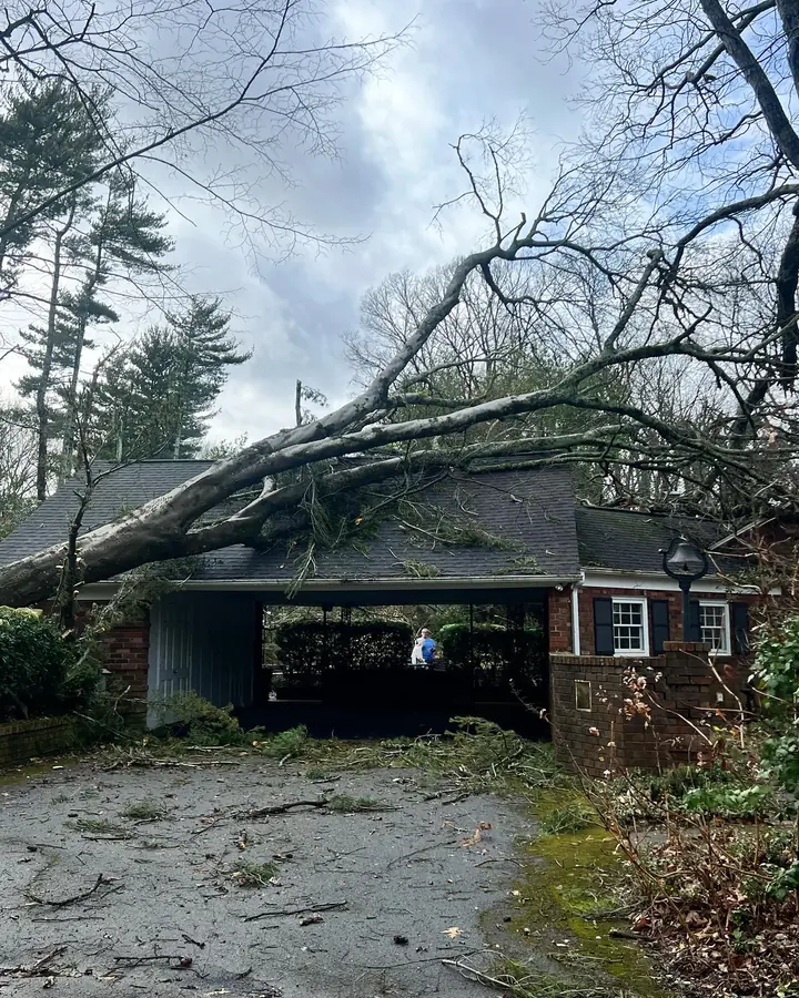 Large tree fallen across a brick home and garage after a storm