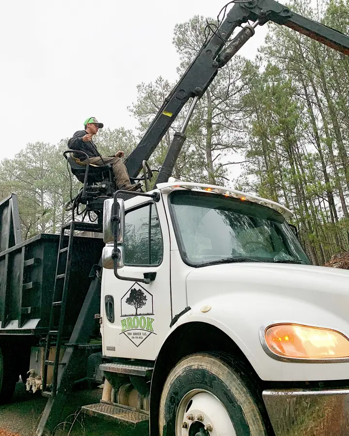 Brook Tree Service grapple truck with crane arm extended on a job site
