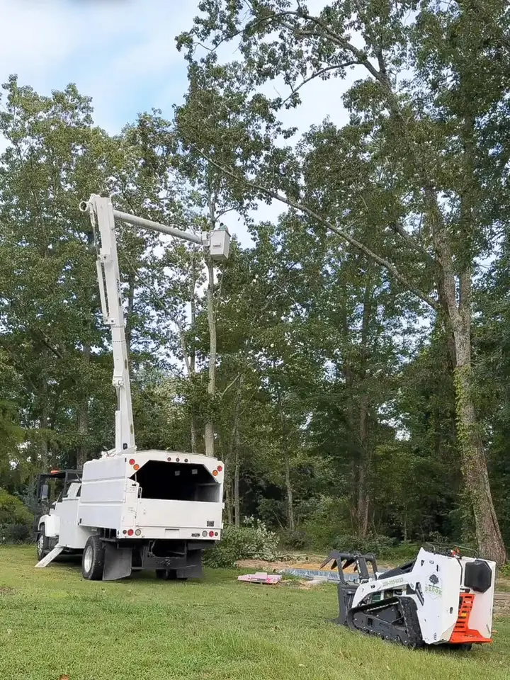 Two Brook Tree Service bucket trucks with booms extended working a large tree job in a residential yard
