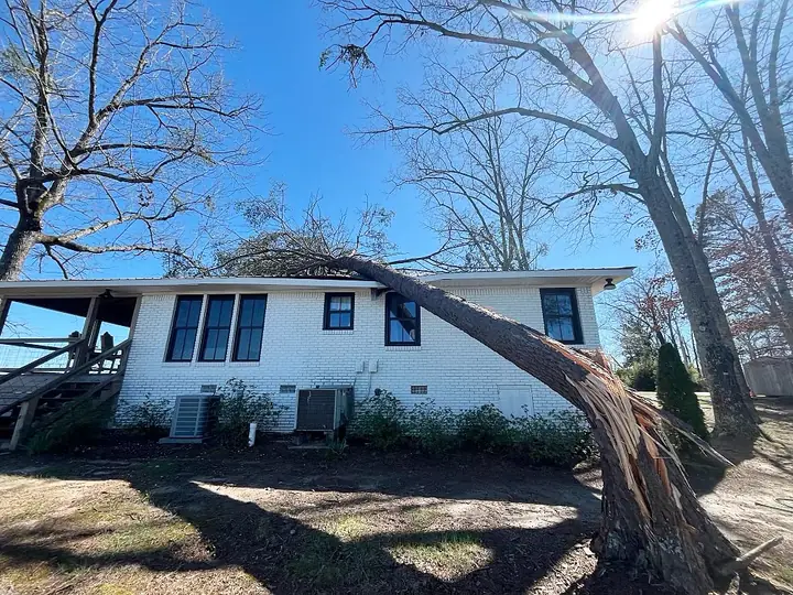 Storm-damaged tree fallen onto a residential rooftop in North-Central Alabama