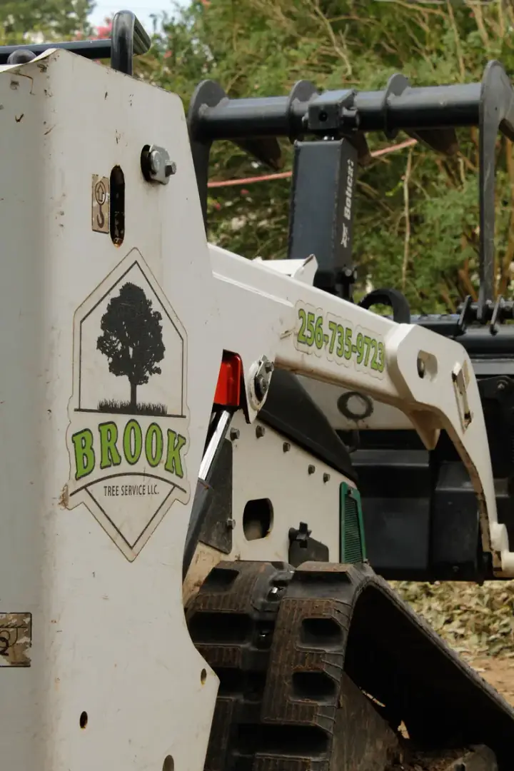 Brook Tree Service compact track loader with grapple attachment and company branding