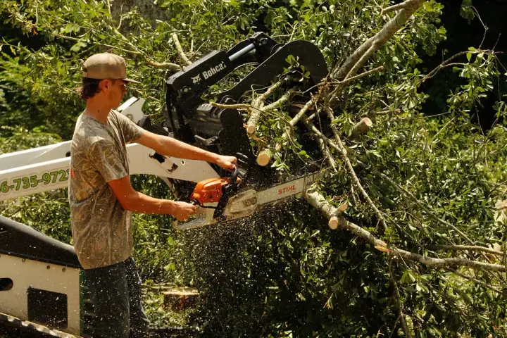 Operator running a grapple loader to clear brush and debris on a job site