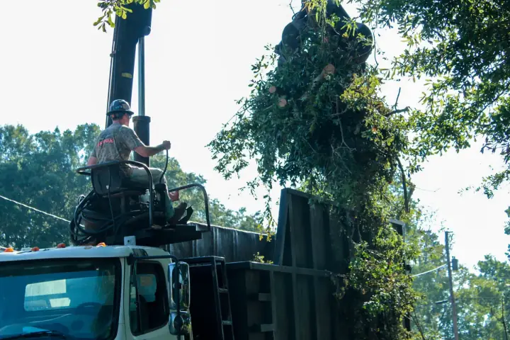 Brook Tree Service grapple truck loading tree limbs and debris for haul-off