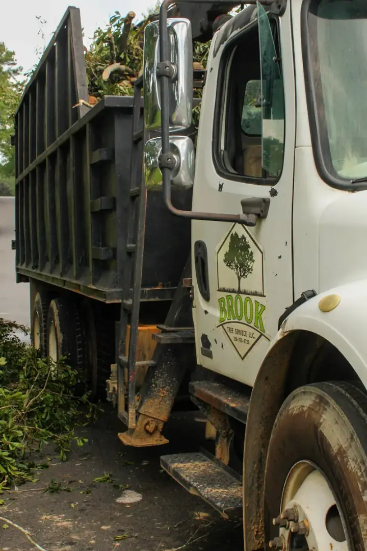 Brook Tree Service dump truck loaded with brush and wood for haul-off
