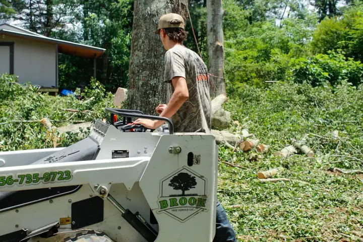Compact track loader clearing brush and debris across a cleared lot