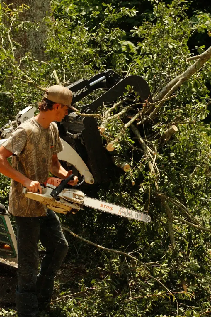 Crew cutting a large log while the grapple loader clears the debris