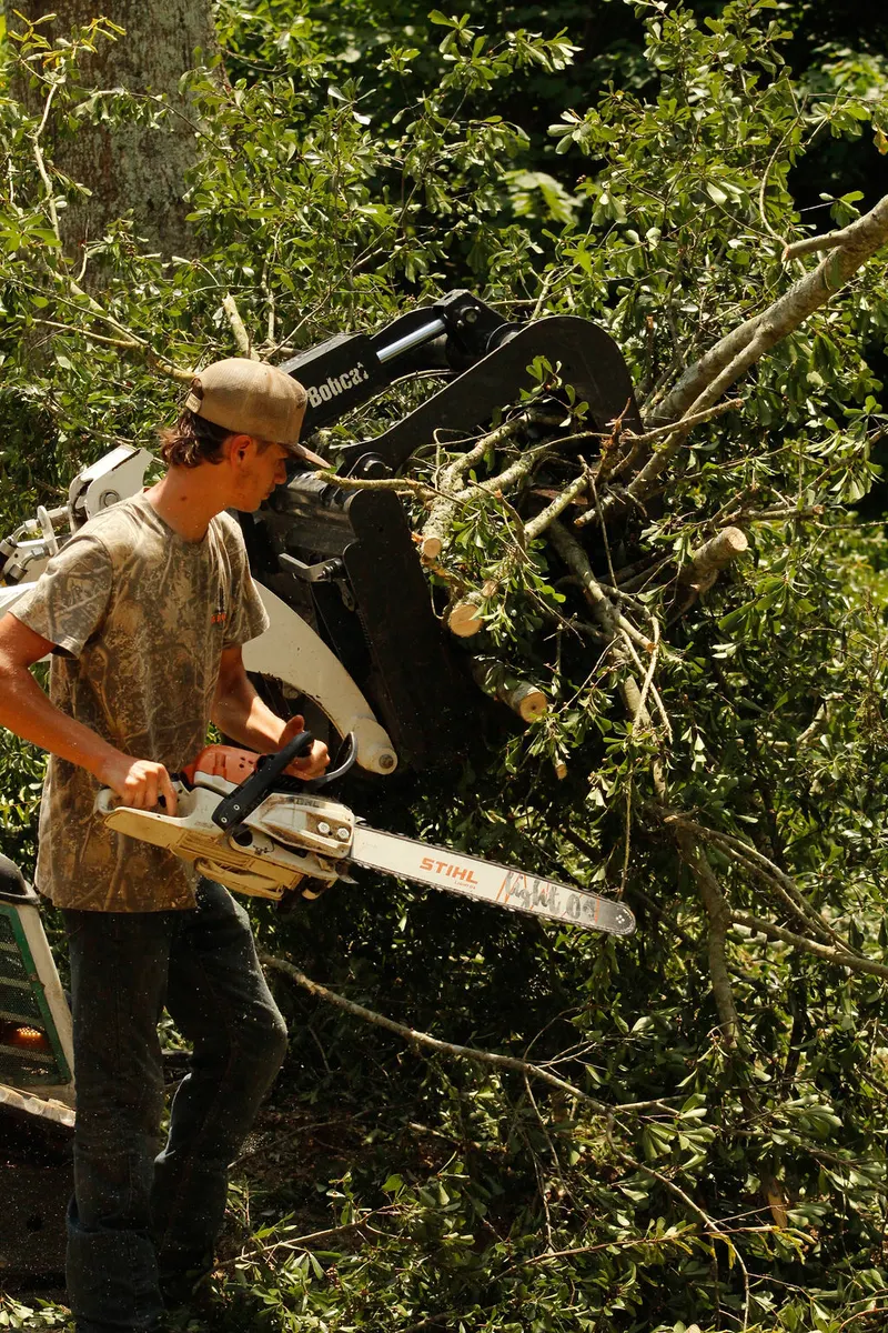 Brook Tree Service crew cutting a large log while the loader clears debris on a lot-clearing job in Cullman County, AL